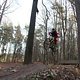 IMG 1478
