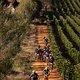 Riders climb up through Tokara Vineyards during stage 6 of the 2019 Absa Cape Epic Mountain Bike stage race from the University of Stellenbosch Sports Fields in Stellenbosch, South Africa on the 23rd March 2019

Photo by Dwayne Senior/Cape Epic