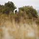 Riders during Stage 6 of the 2024 Absa Cape Epic Mountain Bike stage race from Stellenbosch to Stellenbosch, South Africa on 23 March 2024. Photo by Nick Muzik/Cape Epic
PLEASE ENSURE THE APPROPRIATE CREDIT IS GIVEN TO THE PHOTOGRAPHER AND ABSA CAPE 