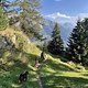 IMG 4430