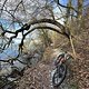 Innenseerunde mit Trail