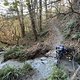 IMG 5960