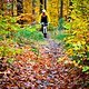 Herbstfarben (Fahrer: Eric Maiwald | Location: Dresdner Heide)