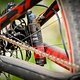 Specialized Epic Expert World Cup-2014-Details-11