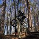Bike Beerfelden P 306
