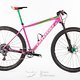 RS-pink-bike-8236