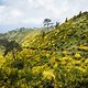 TransMadeira18 Day4-03228