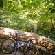 Orbit360 // Gravel Series 2022 // Venus Valley
