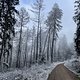 Winterpokal-Aktivität