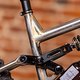 Scar Cycles-8