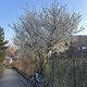 IMG 1251