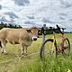 IMG 9142