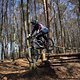 Bike Beerfelden P 290