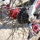 IMG 4943