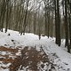 IMG 0031