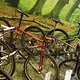 IMG 2060