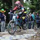 IMG 0473