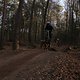 IMG 1938