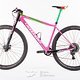 RS-pink-bike-8241