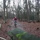 IMG 1252