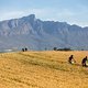 Marie Rabie &amp; Hayley Preen of Land Rover Ladies during stage 3 of the 2021 Absa Cape Epic Mountain Bike stage race from Saronsberg to Saronsberg, Tulbagh, South Africa on the 20th October 2021

Photo by Gary Perkin/Cape Epic

PLEASE ENSURE THE APPROP