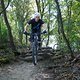Viehtrieb Trail-1