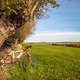 Rocky Mountain Vertex T.O. - Poel 20241020 01