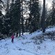 IMG 7333