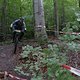 Trailcenter Bad König