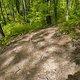 Gratis Wurzeltrail