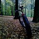 Surly Pugsley