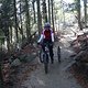 IMG 3335