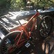 Transition Trans Am 29er