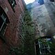 IMG 9290