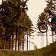 Downhill Willingen 06.05.(2)