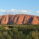 Uluru - Mittag