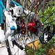 scott contessa, syncros, novatech