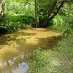 20140613 152341 (Large)