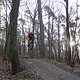IMG 1413