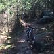 IMG 7562