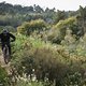 santa-cruz-hightower-action-91530