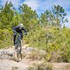 Finale - DH Men
