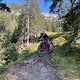 IMG 4121