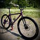 mongoose surly mullet