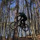 Bike Beerfelden P 301
