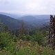 SDC18260 kl