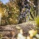 Cannondale Tramount Action 2