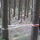 IMG 0997Large 1272301634