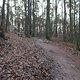 IMG 1359