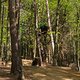 20160505-IMG 5775